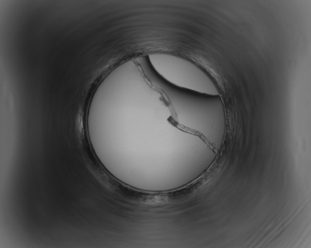 X0000099570398200805160730