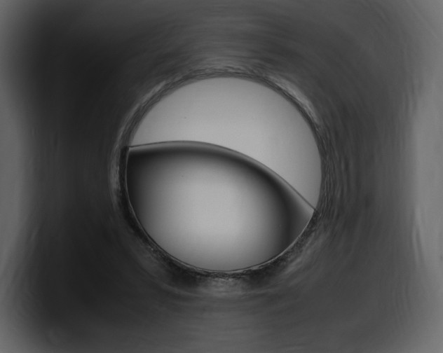X0000099570399200805160730
