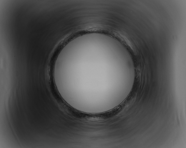 X0000099570400200805160730