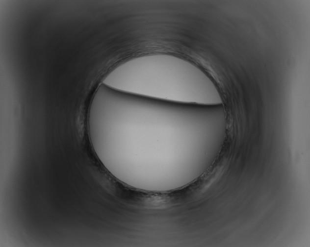X0000099570402200805160730