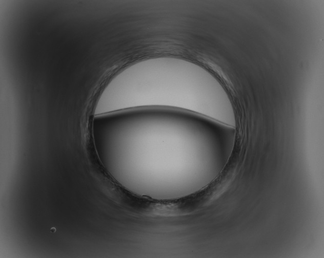 X0000099570403200805160730