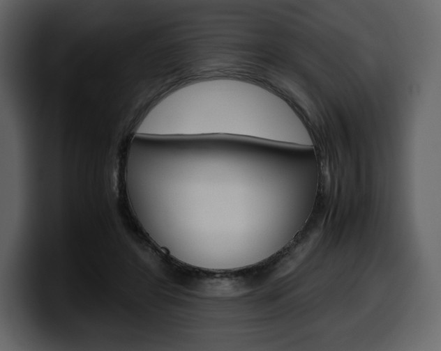 X0000099570404200805160730