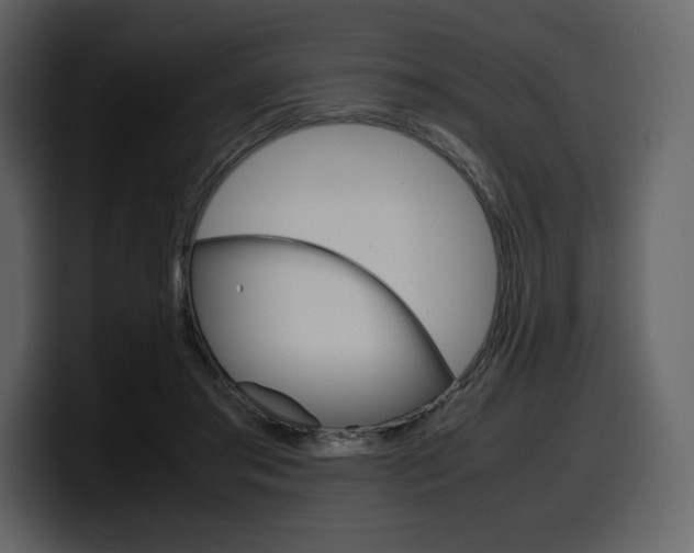 X0000099570405200805160730
