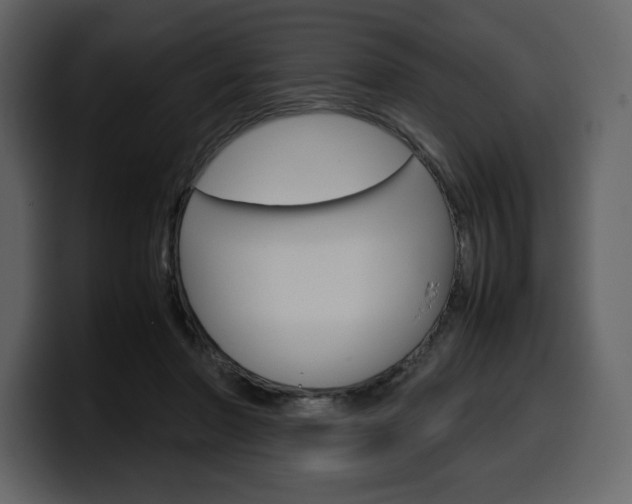 X0000099570406200805160730