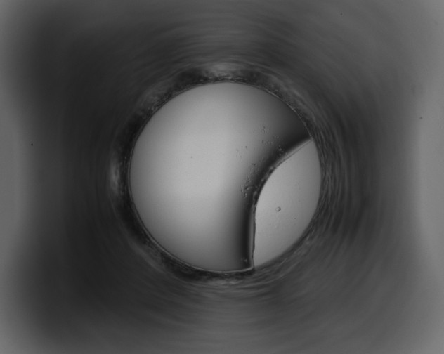 X0000099570408200805160730