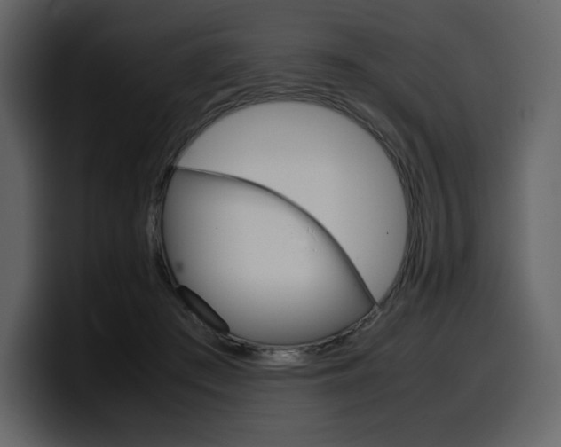 X0000099570409200805160730
