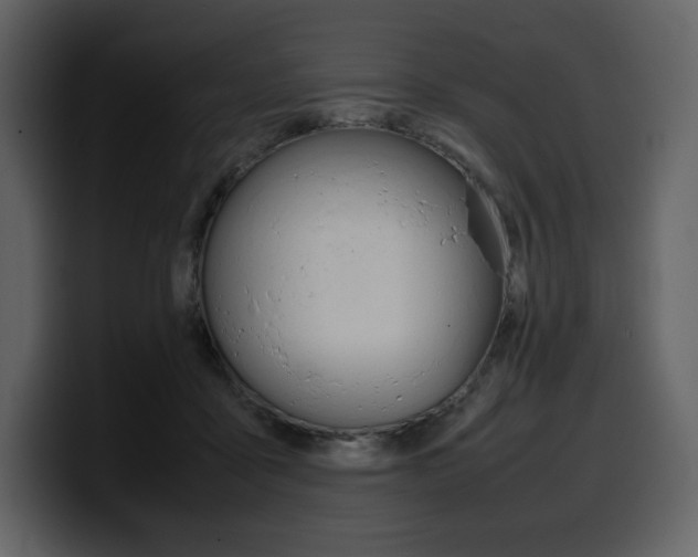 X0000099570411200805160730