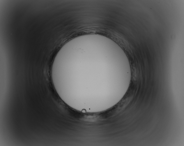 X0000099570414200805160730