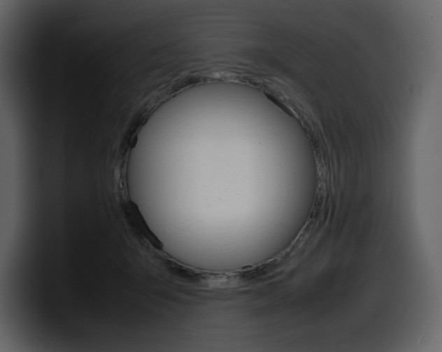 X0000099570415200805160730