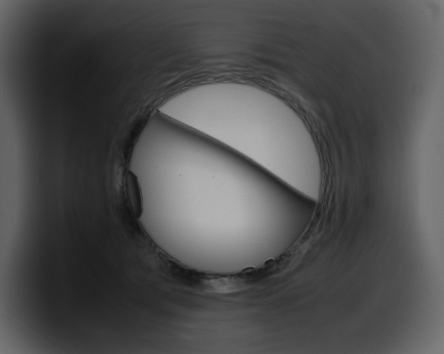 X0000099570417200805160729