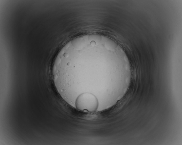 X0000099570418200805160729