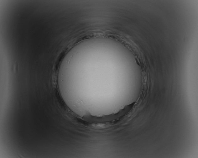 X0000099570419200805160729