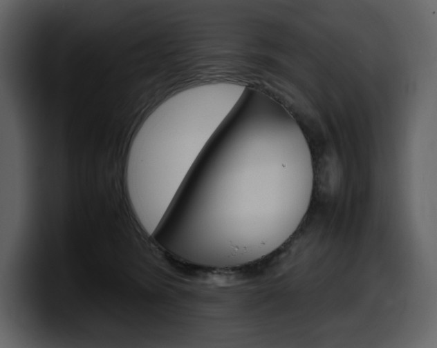 X0000099570420200805160729