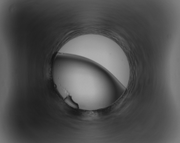 X0000099570421200805160729