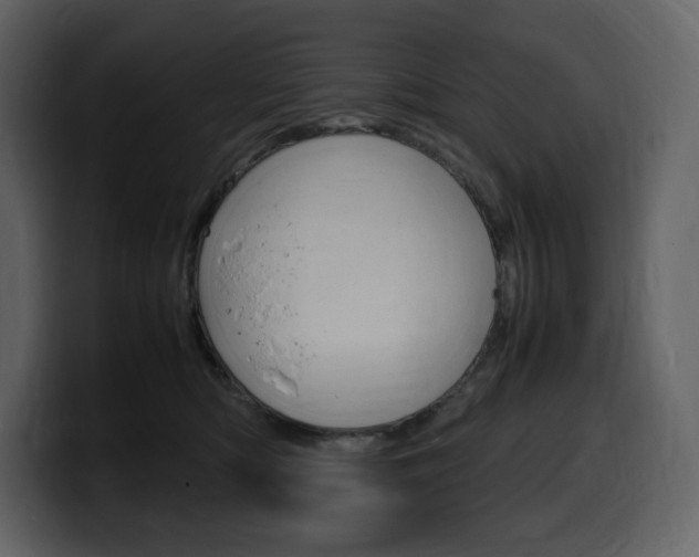 X0000099570422200805160729