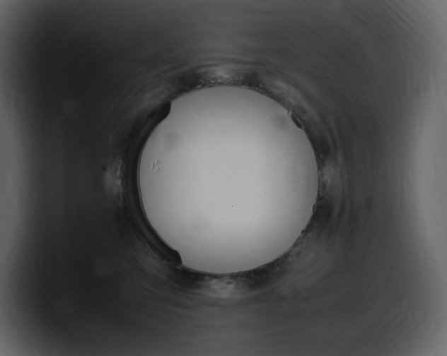 X0000099570423200805160729