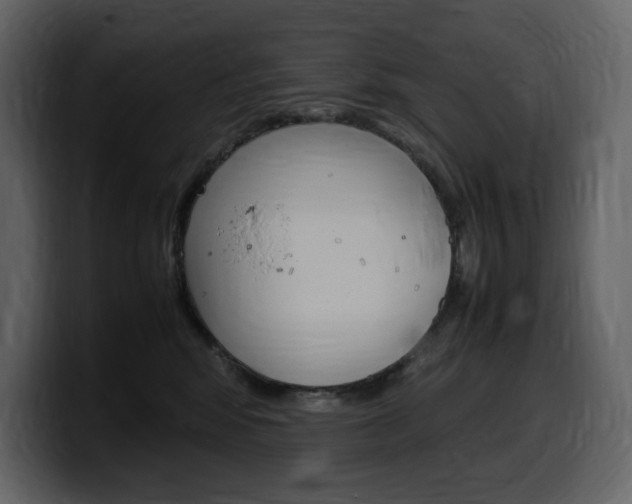 X0000099570424200805160729