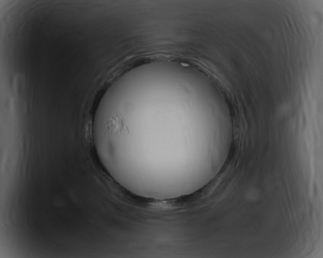 X0000099570425200805160729