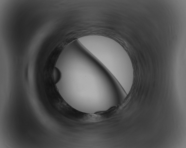 X0000099570429200805160729