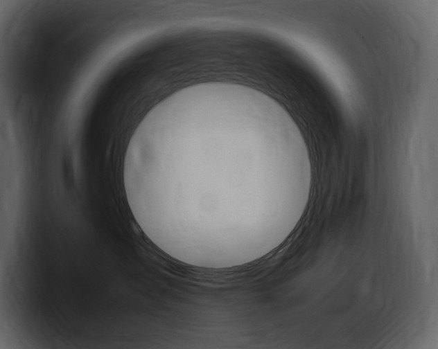X0000099570431200805160729