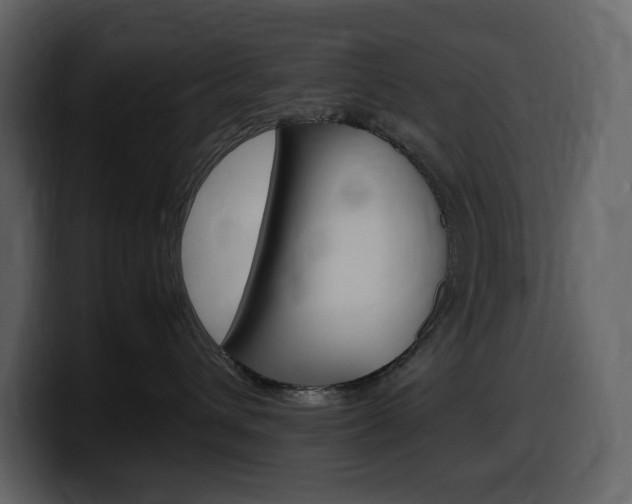 X0000099570432200805160729