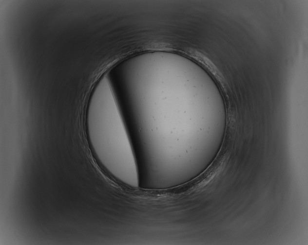 X0000099570433200805160729