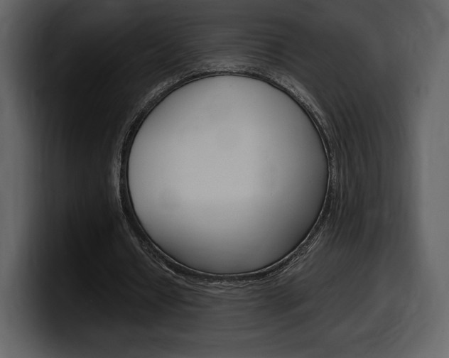 X0000099570434200805160729