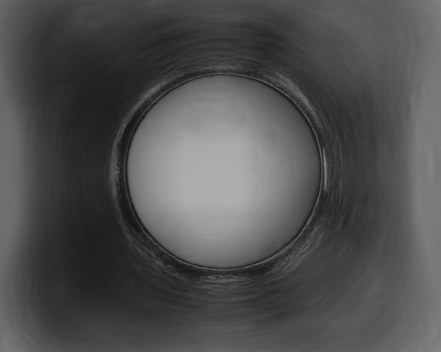 X0000099570435200805160729