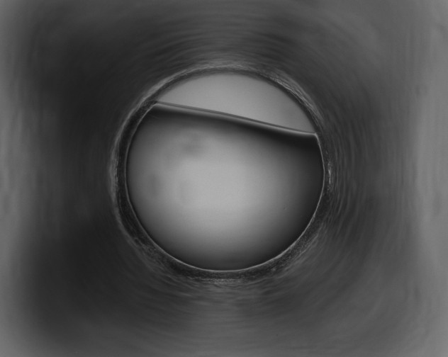 X0000099570436200805160729