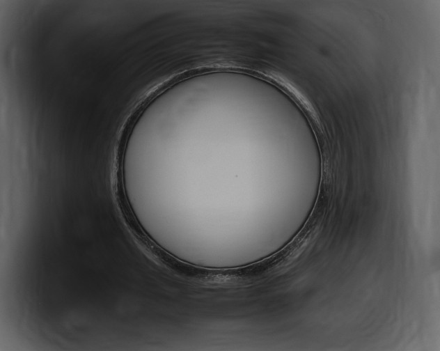X0000099570437200805160729