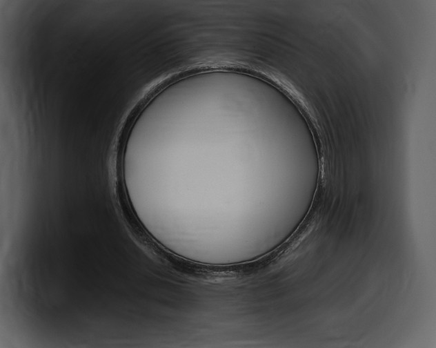 X0000099570438200805160729