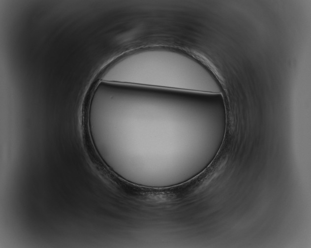 X0000099570439200805160729