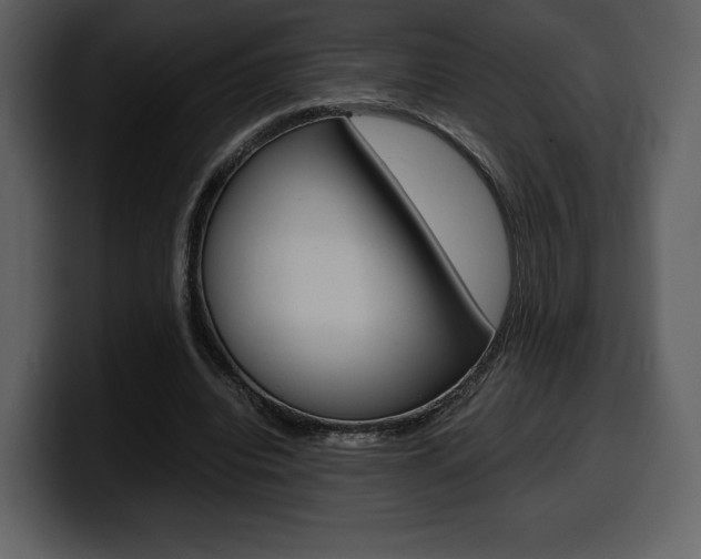 X0000099570440200805160729