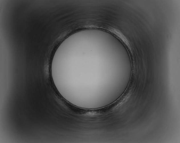X0000099570441200805160729