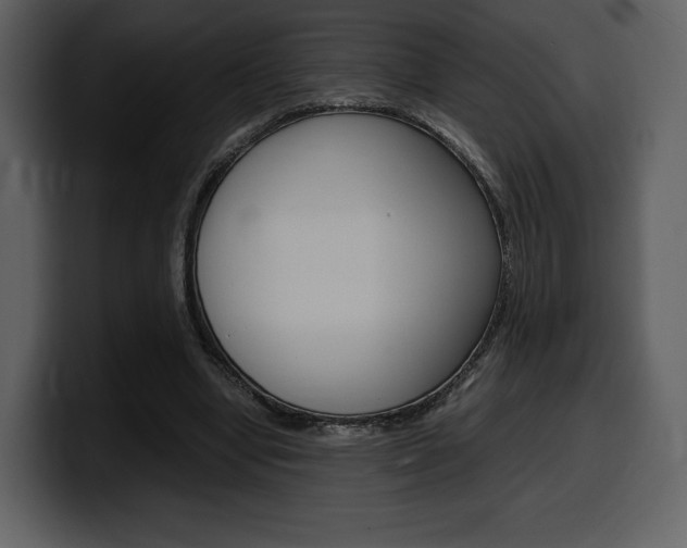 X0000099570442200805160729