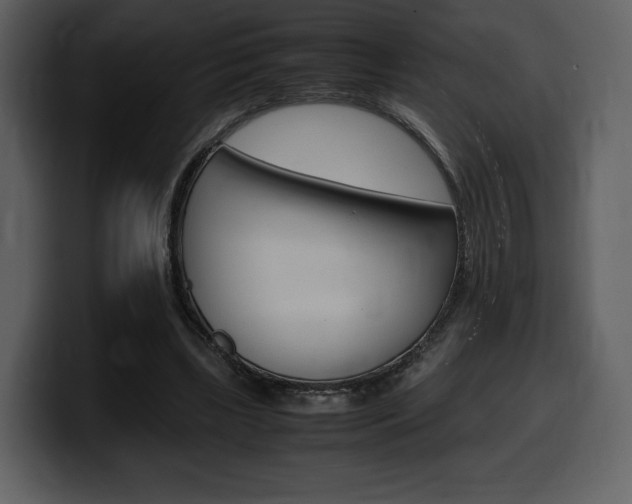 X0000099570443200805160729