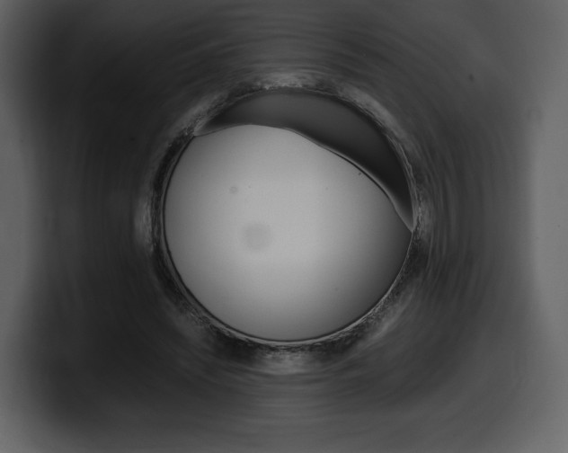 X0000099570444200805160729