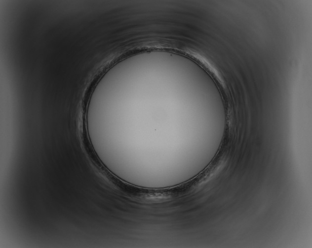 X0000099570445200805160729
