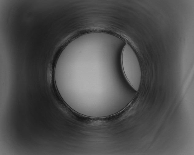 X0000099570446200805160729