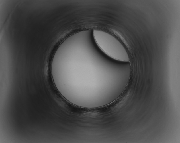 X0000099570447200805160729
