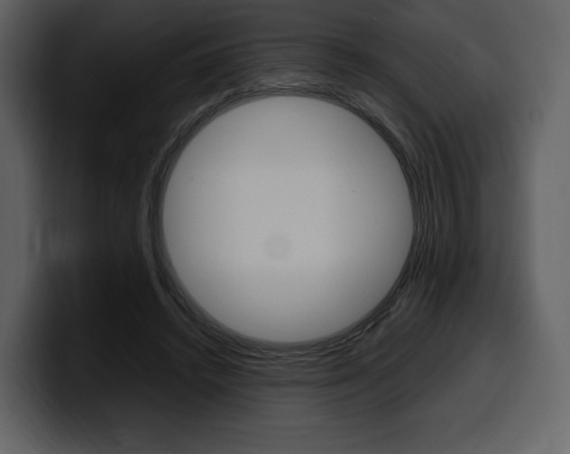 X0000099570448200805160729