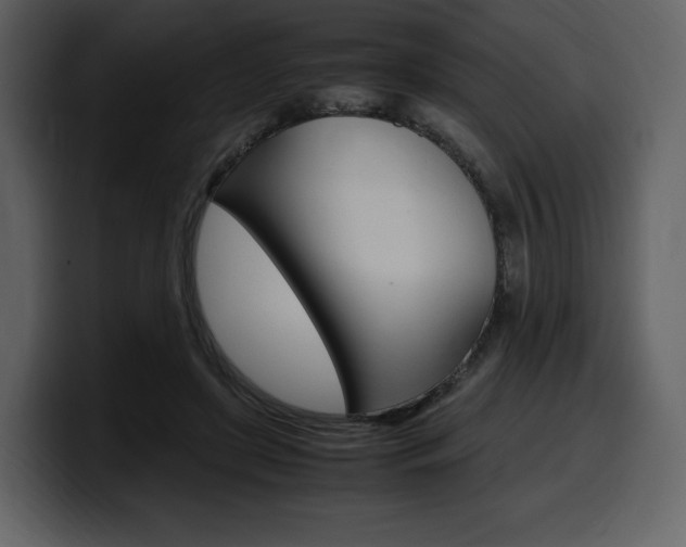 X0000099570451200805160729