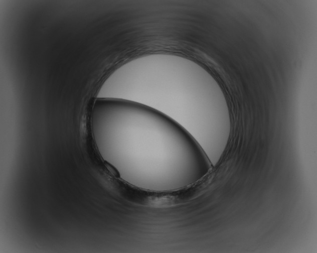 X0000099570452200805160729