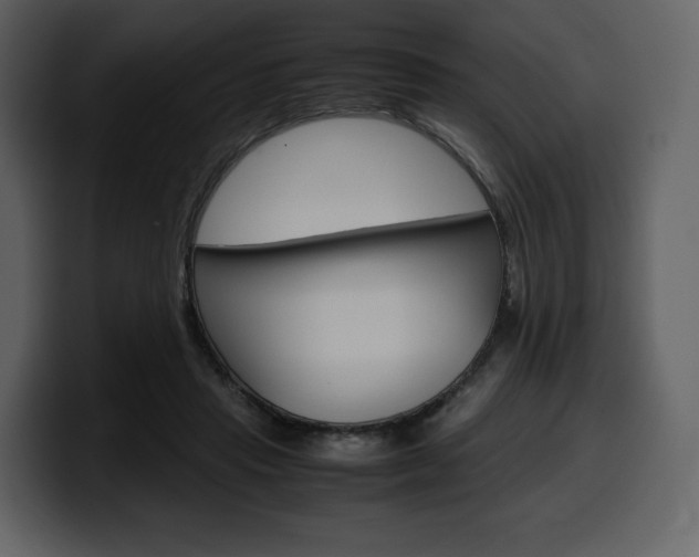 X0000099570453200805160729