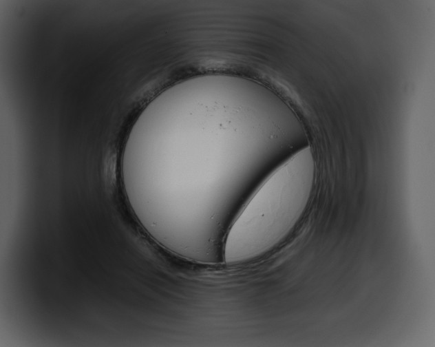X0000099570454200805160729