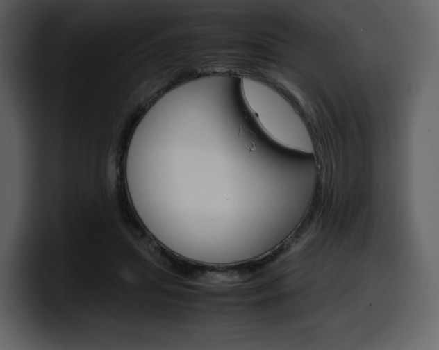 X0000099570455200805160729