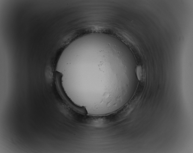 X0000099570456200805160729