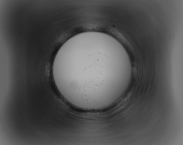 X0000099570458200805160729