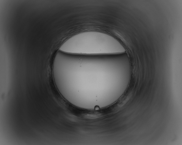 X0000099570459200805160729