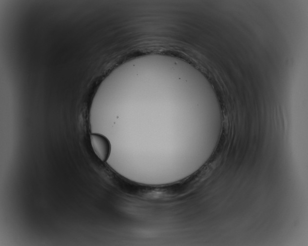 X0000099570460200805160729